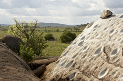 kopje rock